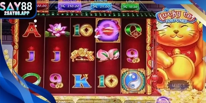 Rút kinh nghiệm và học hỏi để nâng cao hiệu quả nổ hũ mèo tài lộc