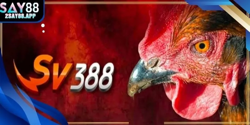 sv388 trực tiếp đá gà